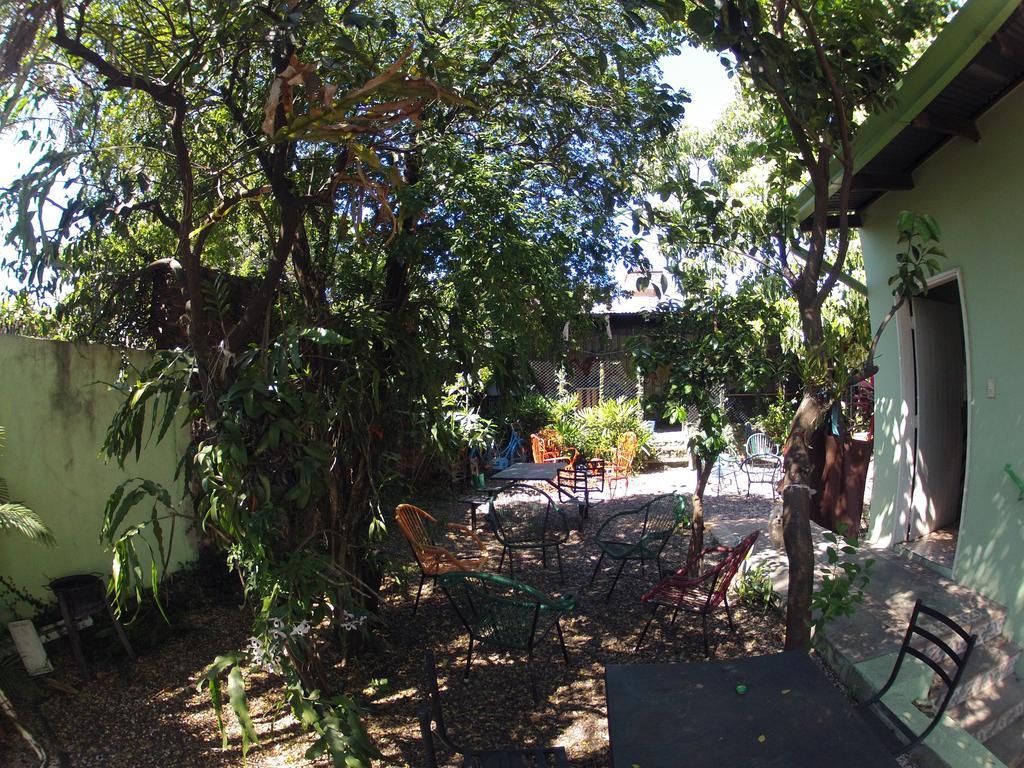 Hamaca Paraguaya Hostel Asunción Exterior photo