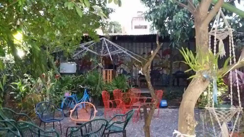 Hamaca Paraguaya Hostel Asunción Exterior photo